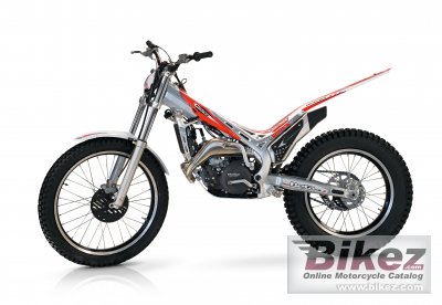 2010 Beta Evo 250 2T photo